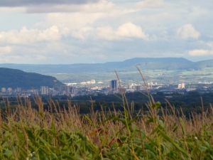 vue-du-ried-helfrantzkirch-sur-lorrach